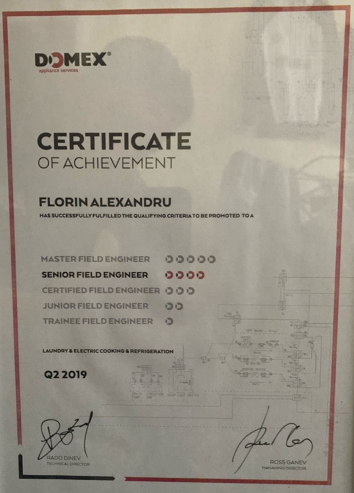 Certificat DOMEX — Florin Alexandru, Senior Field Engineer, dovada experienței în reparații electrocasnice